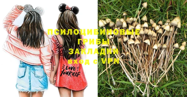 мдпв Армянск