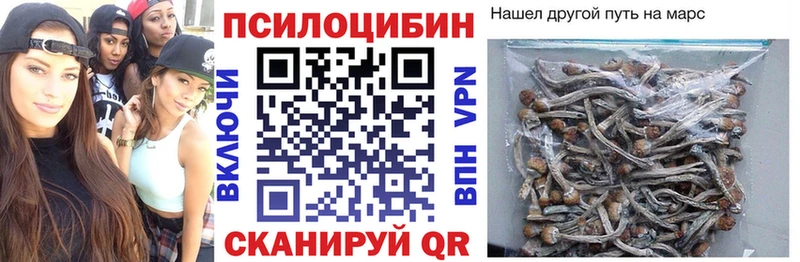 mega вход  цена наркотик  Балей  Галлюциногенные грибы ЛСД 